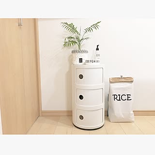 キッチン/ペーパーバッグ/テーブルヤシ/観葉植物/デザレタ...などのインテリア実例 - 2017-06-14 19:57:54