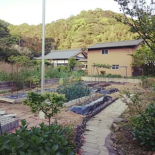 玄関/入り口/家庭菜園♡/イイね！押し逃げお許しください。/もうすぐ連休/どーでしょー(*/ω＼*)...などのインテリア実例 - 2017-04-30 17:37:12