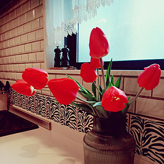 キッチン/ボタニカルインテリア/チューリップ/生花のある暮らし/春の花...などのインテリア実例 - 2022-04-16 11:07:36