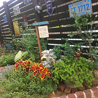 玄関/入り口/大きくなーれ！/植物たち/レンガ/花壇DIY...などのインテリア実例 - 2017-09-10 19:24:29
