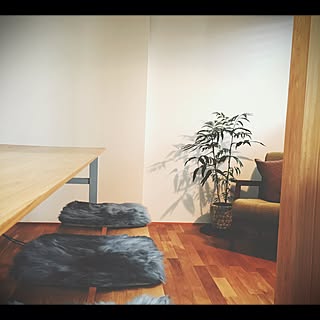 部屋全体/無印良品クッション/1人掛けソファ/観葉植物/ムートン...などのインテリア実例 - 2016-12-05 13:06:08