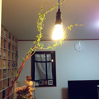 Ｌine Me/壁一面の本棚/植物/時計/IKEAのインテリア実例 - 2014-04-24 19:03:20