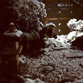 ちょっとした贅沢/雪景色/部屋全体のインテリア実例 - 2022-01-06 18:57:33