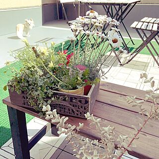 バス/トイレ/花/観葉植物/IKEA/ルーフバルコニー...などのインテリア実例 - 2017-04-23 07:44:20