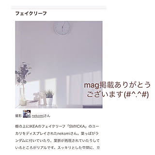 IKEAの雑貨/記録用なのでコメントお気遣いなく♡/mag掲載嬉しいです*＊*/ユーカリフェイク/IKEAのフェイクグリーン...などのインテリア実例 - 2021-05-28 21:17:20