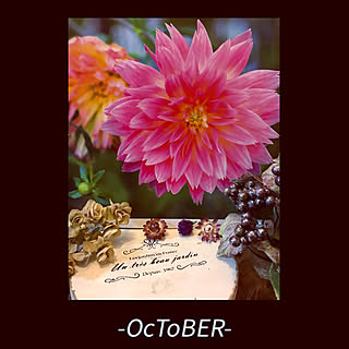 10 月の花のカレンダー/いいね♪いつもありがとうございます❤️/見て下さってありがとう(*^-^*)/みなさんの優しさに感謝❤️/花のある暮らし...などのインテリア実例 - 2020-10-04 07:40:08