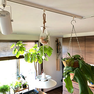 PH5 ダクトレールのおすすめ商品とおしゃれな実例 | RoomClip(ルーム