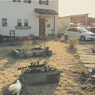 玄関/入り口/一から庭作り/アプローチ/私の庭/ジャンクガーデン...などのインテリア実例 - 2018-03-04 19:06:56