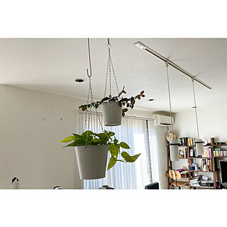 IKEA/ハンギングプランター/観葉植物/リビングのインテリア実例 - 2023-03-26 11:35:22