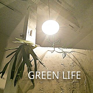 壁/天井/green/植物/フェイクグリーン/いなさうるす屋さん...などのインテリア実例 - 2017-05-22 23:30:54