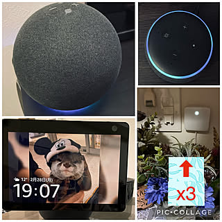 スマートホーム/switch bot/SwitchBot Hub Mini/スイッチボットハブミニ/amazon echo dot...などのインテリア実例 - 2022-02-28 19:40:05