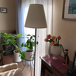 IKEAのカーテン/チューリップ/花瓶のお花/観葉植物/IKEA...などのインテリア実例 - 2021-03-28 00:20:11