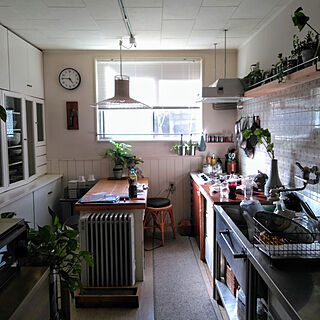 キッチン/DIY/観葉植物/無印良品/サボテン...などのインテリア実例 - 2020-06-22 08:04:26