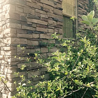 玄関/入り口/外壁/シングルハング窓/模擬石のインテリア実例 - 2016-04-15 17:26:00