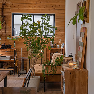 観葉植物のある部屋/観葉植物/リラックスタイム/カフェ風/空間デザイン...などのインテリア実例 - 2023-04-08 10:54:16