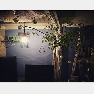 照明/植物/枝/エジソン電球/壁/天井のインテリア実例 - 2017-07-01 23:07:00