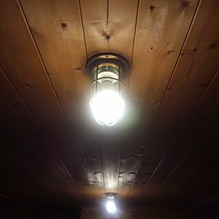 壁/天井/BESSの家/照明 リビング/真鍮ライトのインテリア実例 - 2016-11-06 01:34:07