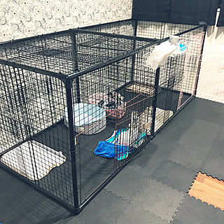 セリア 犬小屋のおしゃれなアレンジ 飾り方のインテリア実例 Roomclip ルームクリップ セリア 犬小屋のおしゃれなアレンジ 飾り方のインテリア実例 Roomclip ルームクリップ