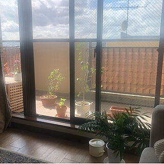 view/living room/plants/balcony/IKEA...などのインテリア実例 - 2022-08-04 15:29:56