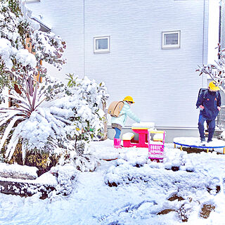 積雪/雪遊び/愛知県/一月/雪景色...などのインテリア実例 - 2022-01-14 11:24:51