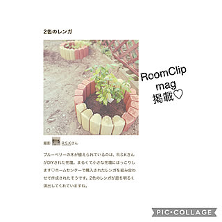 RoomClip mag掲載ありがとうございます/RoomClipMagに載りました♥️/RoomClip mag/RoomClip mag 掲載/ブルーベリーの木...などのインテリア実例 - 2021-10-07 10:26:10