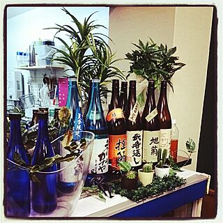 キッチン/植物/お酒の瓶/フェイクグリーンのインテリア実例 - 2014-03-10 21:48:34