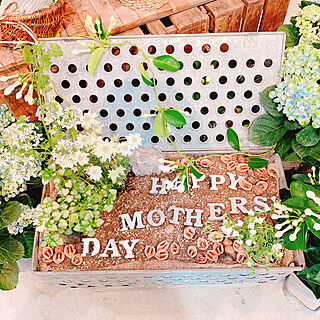 Happy mother's day ♬/ボタニカルインテリア/癒し/うさんぽ ♬/お花がすき...などのインテリア実例 - 2022-05-08 18:41:20