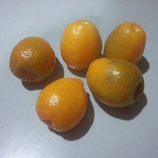 檸檬のインテリア実例 - 2014-01-12 21:46:15