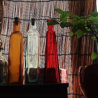 リビング/ロウヤガキ/色付きガラス/細長い瓶/窓辺のインテリア実例 - 2017-04-26 22:32:09