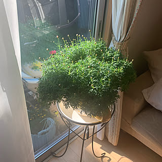 リビング 木質化マーガレットのインテリア実例 Roomclip ルームクリップ