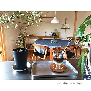 キッチン/観葉植物/レンピ/ツートンコーヒー/ツートンアイスコーヒー...などのインテリア実例 - 2017-05-22 14:12:39
