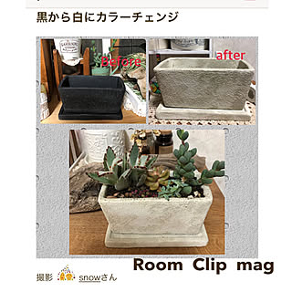 Room Clip mag掲載/ミルクペイントプラスターメディウム/ミルクペイント ヘンプベージュ/植木鉢リメイク/DIY...などのインテリア実例 - 2020-06-29 19:13:26