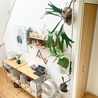 観葉植物のある暮らし/シンプル/マイホーム/注文住宅/暮らしを楽しむ...などのインテリア実例 - 2022-09-01 21:05:26