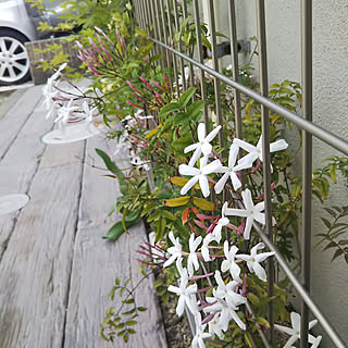 部屋全体/ジャスミン/花のある暮らし/花のある風景/枕木風コンクリート...などのインテリア実例 - 2019-05-14 10:06:11