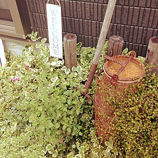 玄関/入り口/サビサビミルク缶のインテリア実例 - 2014-10-31 14:07:28