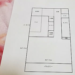 部屋全体/一人暮らし/間取り図/1LDKのインテリア実例 - 2018-01-25 00:12:19