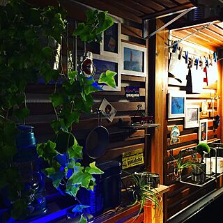 壁/天井/ハワイアン/1K/LED照明/植物のある部屋...などのインテリア実例 - 2016-08-29 22:32:49