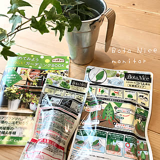 蚤の市戦利品/アイビー/植物のある暮らし/BotaNice/観葉植物...などのインテリア実例 - 2021-05-15 10:52:34