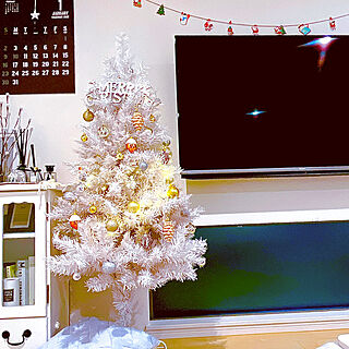 クリスマスガーランド/壁掛けテレビ/写真がうまく撮れるようになりたい♡/クリスマス2021/猫がいたずらする（笑）...などのインテリア実例 - 2021-11-25 21:34:18