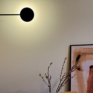 壁/天井/イッペルリグ/IKEA/桃の木/アートのある暮らし...などのインテリア実例 - 2024-03-05 22:06:32