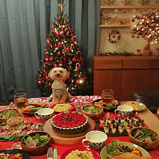 クリスマスツリー 卓上ツリーのおしゃれなアレンジ・飾り方の