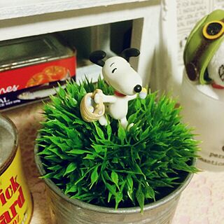 Easter Beagle/Peanuts/スヌーピー/100均/ダイソーのインテリア実例 - 2017-01-08 23:32:43