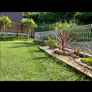 庭/庭からの眺め/観葉植物/ガーデニング/リビングのインテリア実例 - 2022-05-31 22:00:05