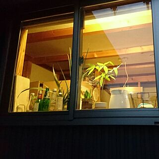 キッチン/窓/観葉植物/あきびんのインテリア実例 - 2017-01-05 00:39:07