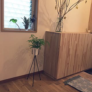 玄関 入り口 アジアンタムのおしゃれなアレンジ 飾り方のインテリア実例 Roomclip ルームクリップ