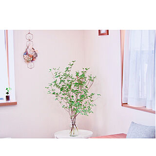 フラワーベース/花瓶/緑のある空間/緑のある暮らし/ドウダンツツジ...などのインテリア実例 - 2021-04-25 23:53:05