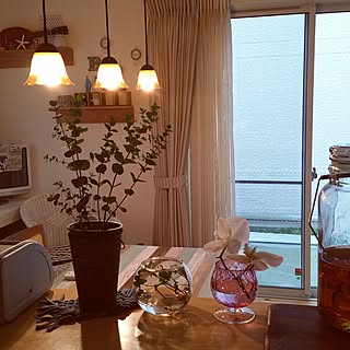 キッチン/いいね♪いつもありがとうございます❤️/花のある暮らし/落ち着く空間/夜の一枚...などのインテリア実例 - 2017-06-10 18:11:37