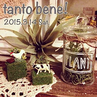 部屋全体/お知らせ♡/宣伝失礼します(>_<)/tanto bene!/tkmsちゃん♡...などのインテリア実例 - 2015-02-20 08:07:14