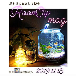 金魚/クッキージャー/クッキージャー水槽/2019.11.15/いつもありがとうございますʕ•ᴥ•ʔ...などのインテリア実例 - 2019-11-15 20:28:08