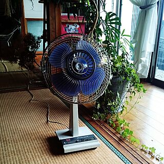 リビング/TOSHIBA/昭和レトロ/日本家屋/扇風機のインテリア実例 - 2016-08-12 15:11:25